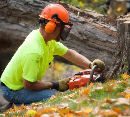 tree services East Spencer